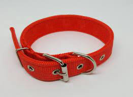 COLLAR P/ MASCOTAS GRANDE
