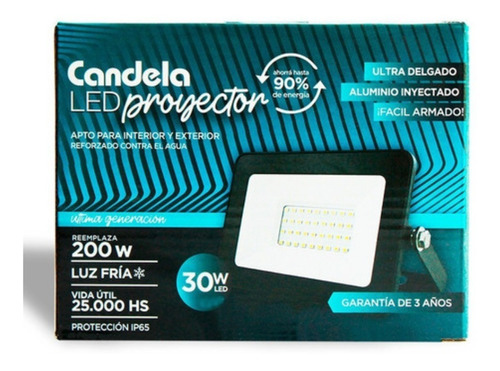 PROYECTOR LED 30 WATTS